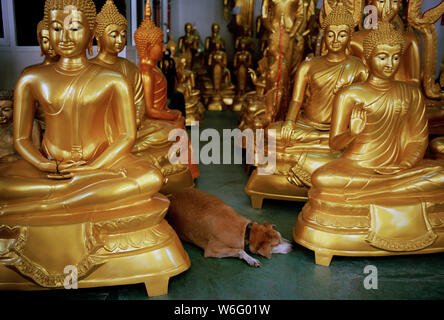 Statue di Buddha in Bamrung Muang Road di Bangkok in Thailandia nel sud-est asiatico in Estremo Oriente. Il buddismo Mindfulness benessere meditare la meditazione Foto Stock