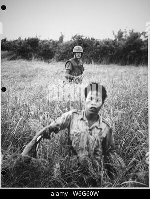 Caporale Atchley (Long Beach, CA), un leader di squadra della società B, 1° Battaglione, 9 Marines, protezioni un Viet Cong come egli si sposta verso il punto di raccolta. Azione ha avuto luogo durante il funzionamento Vello d'oro. Foto Stock