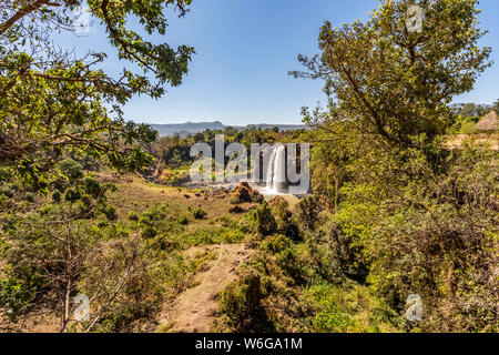 Tis Abay (Blue Nile Falls); Amhara Regione, Etiopia Foto Stock