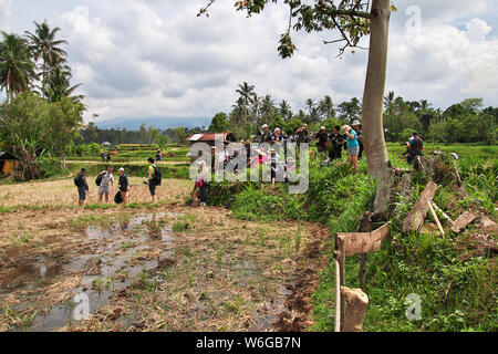 Padang, Indonesia - 30 lug 2016. Festival Jawi di sala di risveglio (bull racing) nel villaggio vicino Padang, Indonesia Foto Stock