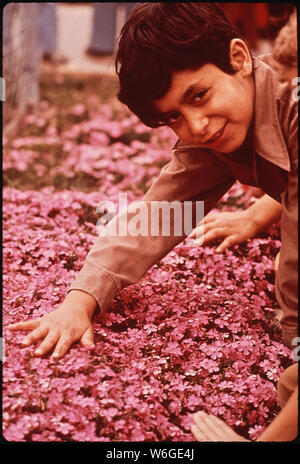 La consapevolezza ambientale è un oggetto pianificato per questo 3RD CLASSIFICATORE A BRYANT WEBSTER SCHOOL Foto Stock