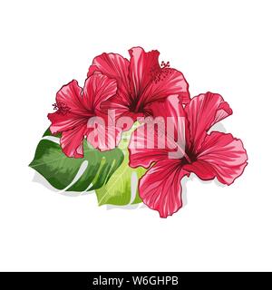 Banner di tè o una scheda con Hawaiian Hibiscus rosso fiore di fragranza. Colore verde brillante foglie vettore sfondo modellato per il confezionamento di tè Print Design. Tropical Illustrazione Vettoriale
