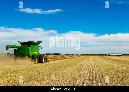 Una mietitrebbia è al lavoro nel campo mentre un carrello granella attende il suo carico successivo durante il raccolto di canola; Legale, Alberta, Canada Foto Stock