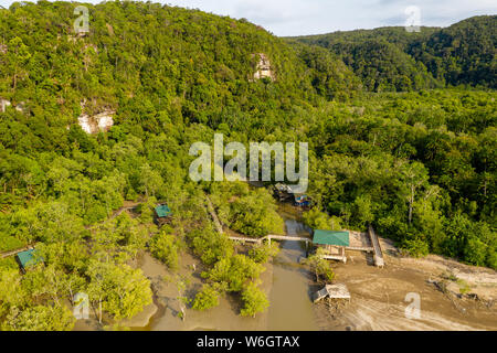 Antenna fuco vista della foresta di mangrovie e densa foresta pluviale tropicale Foto Stock