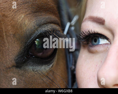 Un'immagine ravvicinata del lato di una faccia di cavalli con il suo proprietario accanto ad essa. Foto Stock