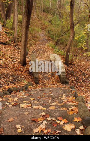 Gradini in pietra decrescente per un ponte di pietra con caduta foglie sparse sul terreno in una foresta preservare a Sorgenti pietrificanti Park, Kenosha, Wisconsin, Foto Stock