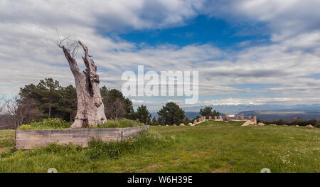 Salamanca, Castilla y Leon, Spagna - 14 Aprile 2013: vista di un vecchio tronco di un albero in un solitario gazebo che si affaccia su una montagna innevata Foto Stock