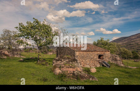 Caceres, Estremadura, Spagna - 7 Aprile 2014: solitari e piccola casa in pietra circondato da alberi al centro di un prato verde sotto un cielo blu con cl Foto Stock