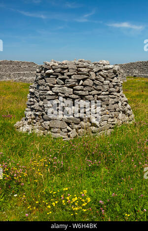 Round struttura in pietra nel campo in erba, Wild Atlantic modo; Inishmaan Island, nella contea di Galway, Irlanda Foto Stock