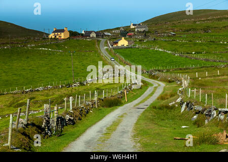 Strada che conduce da pascoli a case su una collina su Dursey Island sulla penisola di Beara, Wild Atlantic Way; Dursey Island, County Cork, Irlanda Foto Stock