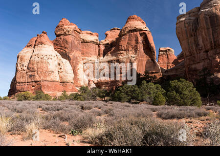 I pinnacoli fuori luogo del deserto di Chesler Park che è parte del Canyon lands National Park - Distretto di aghi. Foto Stock