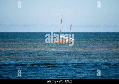 Spiaggia di Danzica è chiusa a causa di cianobatteri blumo durante gli ultimi giorni caldi in Gdansk, Polonia 25 luglio 2019 © Wojciech Strozyk / Alamy Stock Photo Foto Stock