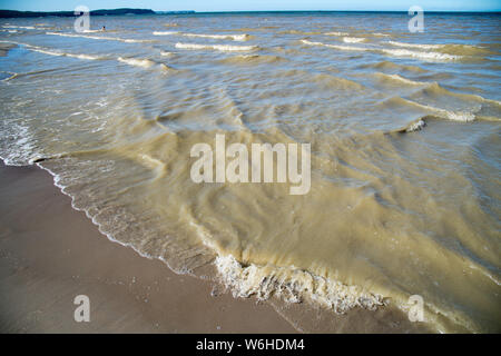 Spiaggia di Danzica è chiusa a causa di cianobatteri blumo durante gli ultimi giorni caldi in Gdansk, Polonia 25 luglio 2019 © Wojciech Strozyk / Alamy Stock Photo Foto Stock