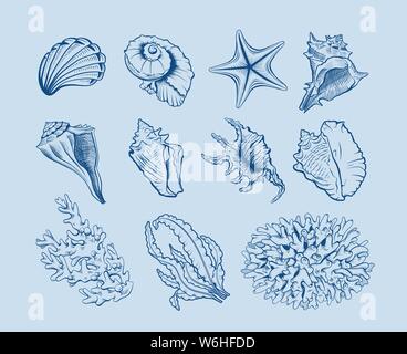 La vita marina disegnati a mano illustrazione vettoriale set. Conchiglie, capesante disegni a mano libera su sfondo blu. Coralli, reef ecosistema fauna, alghe, lami Illustrazione Vettoriale