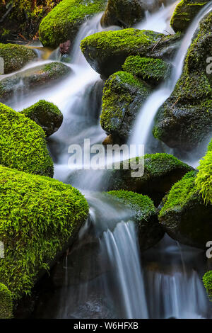 Moss-rocce coperte con cascata d'acqua; Denver, Colorado, Stati Uniti d'America Foto Stock