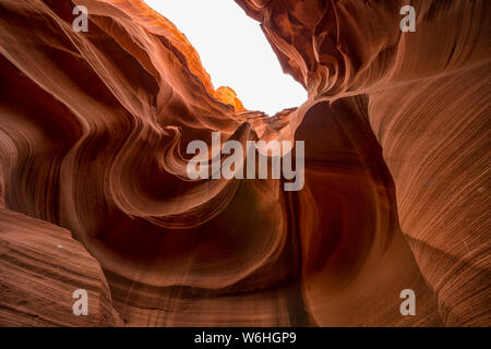 Slot Canyon noto come il gufo Canyon, vicino pagina; Arizona, Stati Uniti d'America Foto Stock