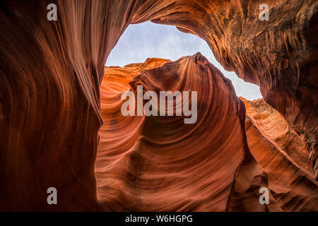 Slot Canyon noto come il gufo Canyon, vicino pagina; Arizona, Stati Uniti d'America Foto Stock