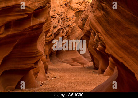 Slot Canyon noto come il gufo Canyon, vicino pagina; Arizona, Stati Uniti d'America Foto Stock