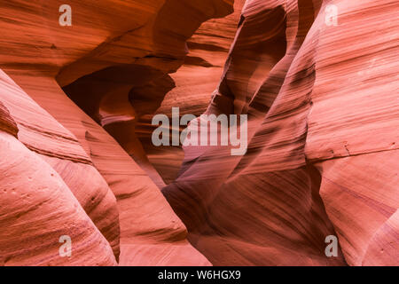 Slot Canyon noto come Canyon X, vicino pagina; Arizona, Stati Uniti d'America Foto Stock