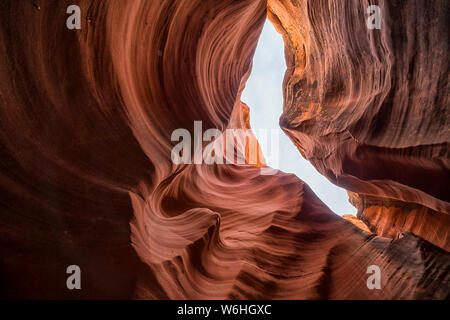 Slot Canyon noto come Rattlesnake Canyon, vicino pagina; Arizona, Stati Uniti d'America Foto Stock