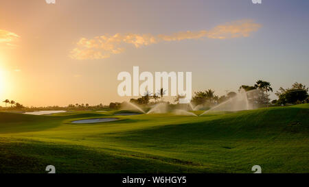 Campo da golf al tramonto su Grand Cayman essendo acqua, Isole Cayman Foto Stock