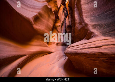 Slot Canyon noto come Canyon X, vicino pagina; Arizona, Stati Uniti d'America Foto Stock