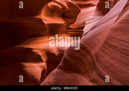 Slot Canyon noto come Canyon X, vicino pagina; Arizona, Stati Uniti d'America Foto Stock