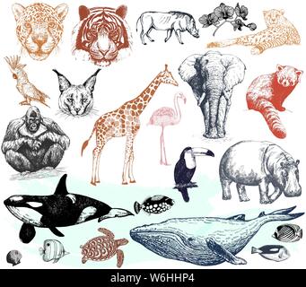 Grande set di disegnato a mano stile sketch animali selvaggi isolati su sfondo bianco. Illustrazione Vettoriale. Illustrazione Vettoriale