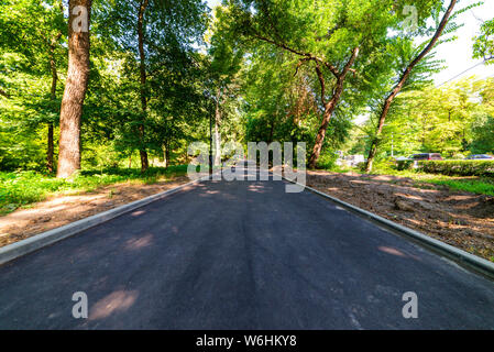Asfalto percorso a piedi attraverso il parco della città. Foto Stock