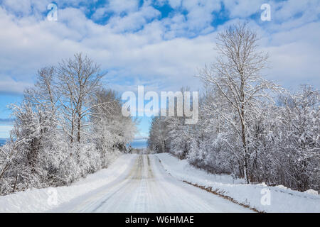 Paese strada in inverno con coperte di neve alberi; Thunder Bay, Ontario, Canada Foto Stock