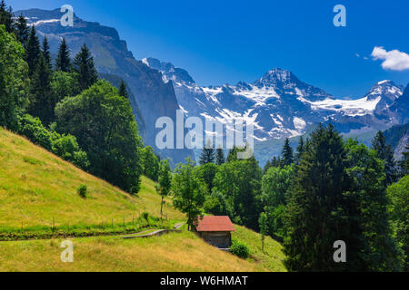 Villaggio montano di Wengen, Svizzera Foto Stock