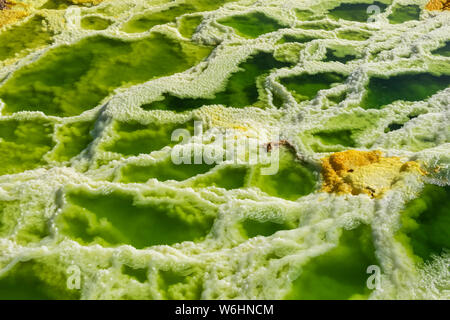 Acida sorgenti calde e geyser, formazioni minerali, dei depositi di sale nel cratere del vulcano Dallol, Danakil depressione; regione di Afar, Etiopia Foto Stock