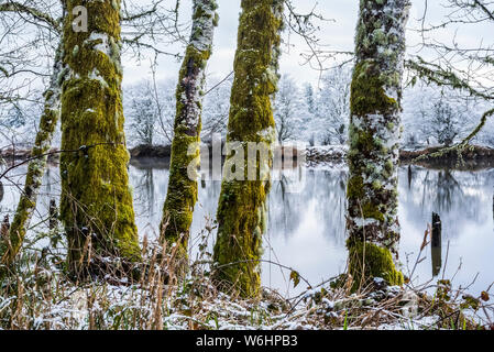 Una spolverata di neve cade a Lewis e Clark parco storico nazionale; Astoria, Oregon, Stati Uniti d'America Foto Stock