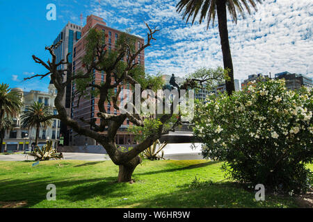 Plaza Independencia è la più importante piazza di Montevideo. Esso divide il vecchio dal nuovo Uruguay, circondato da una vasta gamma di stili architettonici. Foto Stock