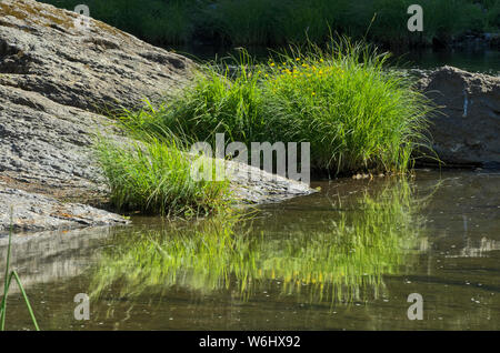 O: Douglas County, Cascades Range, South Umpqua River. Linea di rocce del sud Umpqua River a tre C Rock Area picnic, Umpqua National Forest Foto Stock