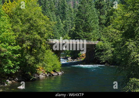 O: Douglas contea, stato Hwy 138 nella gamma Cascades. Vista attraverso il North Umpqua River verso Eagle Rock e o 138 bridge Foto Stock