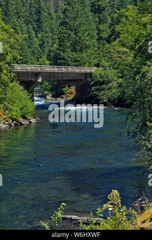 O: Douglas contea, stato Hwy 138 nella gamma Cascades. Vista attraverso il North Umpqua River verso Eagle Rock e o 138 bridge Foto Stock