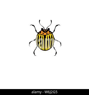 Vector colore simbolo di Colorado potato beetle isolati su sfondo bianco. Beetle modello per la progettazione del sito pubblicità o poster. Illustrazione Vettoriale