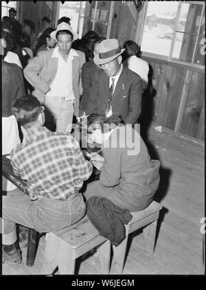 Manzanar Relocation Center, Manzanar, California. Sfollati da Elk Grove, California, firma fino f . . .; Portata e contenuto: tutta la didascalia per questa fotografia si legge: Manzanar Relocation Center, Manzanar, California. Sfollati da Elk Grove, California, la firma per la biancheria da letto a questo War Relocation Authority centro dove gli sfollati di ascendenza giapponesi stanno trascorrendo la durata. Foto Stock