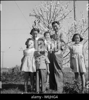 Mountain View, California. Membri della famiglia Mitarai sulla loro ranch, sei settimane prima di evacuat . . .; Portata e contenuto: tutta la didascalia per questa fotografia si legge: Mountain View, California. Membri della famiglia Mitarai sulla loro ranch, sei settimane prima della evacuazione. Agli sfollati di ascendenza giapponese sarà alloggiato in War Relocation Authority centri per la durata. Foto Stock