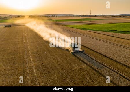 Vista aerea, mietitrebbia, guida in sole di sera su un campo a secco con un sacco di polvere, Wetterau, Hesse, Germania Foto Stock