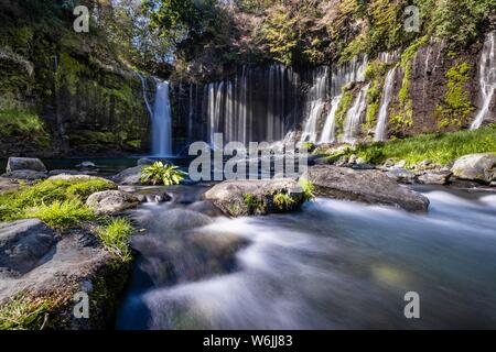 Shiraito cascata, Fuji-Hakone-Izu National Park, Prefettura di Yamanashi, Giappone Foto Stock