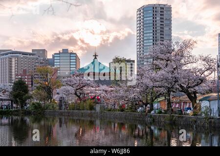 Shinobazunoike Bentendo Tempio a Shinobazu Pond, Giapponese di fiori di ciliegio, il parco Ueno, Tokyo, Giappone Foto Stock