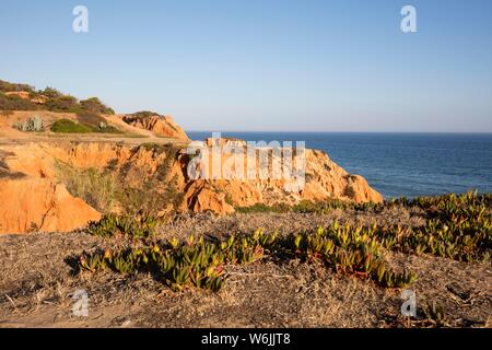 Costa rocciosa di arenaria nei pressi di Albufeira, costa atlantica, Algarve, PORTOGALLO Foto Stock