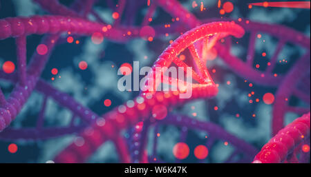 Elica di DNA colorato i geni dei cromosomi di una sequenza di DNA, la struttura del DNA con candelette. Il concetto di scienza background rendering 3D Foto Stock