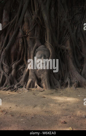 Wat Mahathat presso la città storica di Ayutthaya, Thailandia. Foto Stock