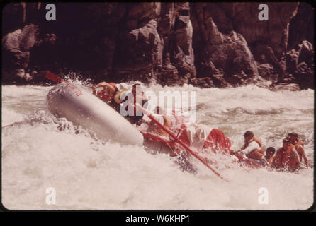 Riprese di pecora selvatica rapide sul fiume Snake in Hells Canyon. RAPIDS COME QUESTA OFFERTA avventura e sfida per il numero crescente di persone che una zattera o kayak su questo spettacolare tratto del serpente Foto Stock