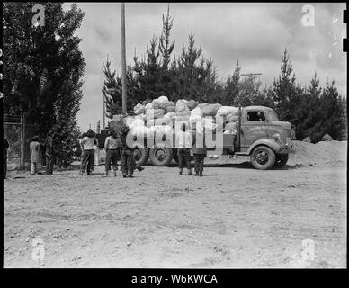 Salinas, California. Il bagaglio appartenenti a sfollati di ascendenza giapponese è portato dal carrello di t . . .; Portata e contenuto: tutta la didascalia per questa fotografia si legge: Salinas, California. Il bagaglio appartenenti a sfollati di ascendenza giapponese è portato dal carrello di questo centro di assemblaggio. Sfollati sarà successivamente trasferito al War Relocation Authority centri per la durata. Foto Stock