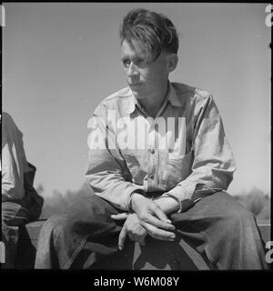 San Joaquin Valley, California. Contratto di lavoro. Da Oklahoma, 22 anni. Con le mani di minimo, si siede al sole della California di San Joaquin Valley in attesa di lavoro in uno di America è più produttivo valli agricole Foto Stock