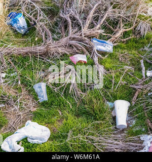 Cornice quadrata Close up di terreno erboso disseminato di scartare le materie plastiche e tazze monouso Foto Stock